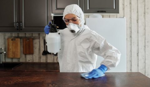 Best Reasons to Hire a Cleaning Professionals