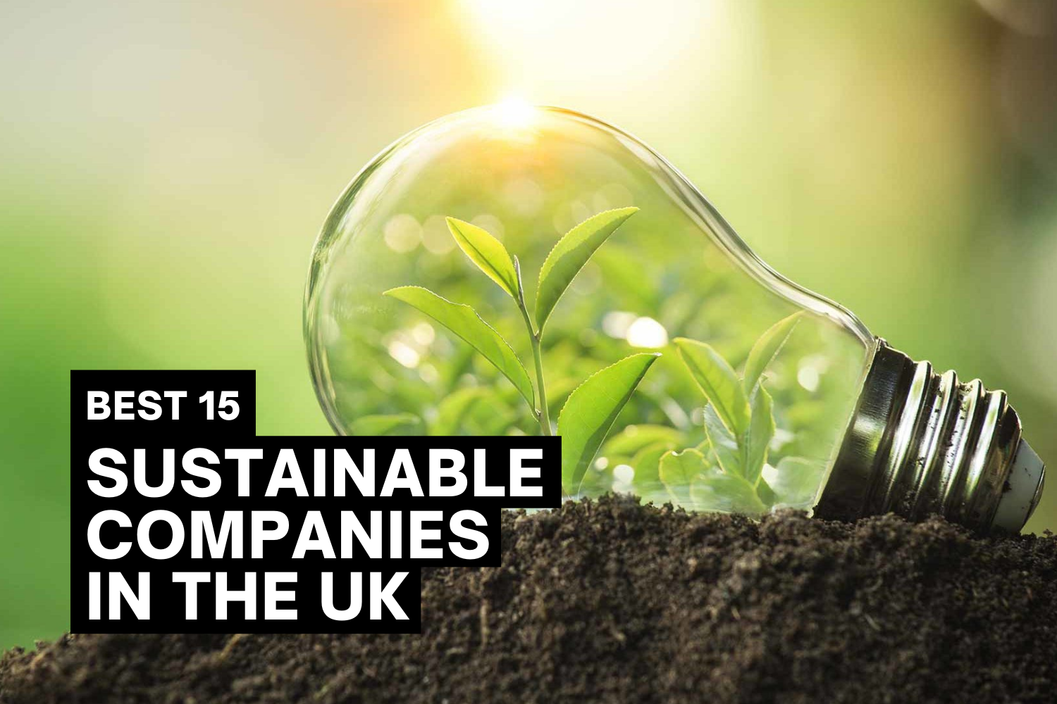 15 Sustainable Companies Making A Difference In The UK