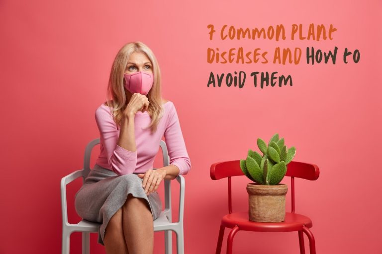 7 Common Plant Diseases and How to Avoid Them hollow