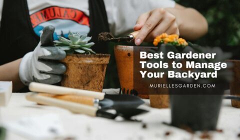 best-gardener-tools-to-manage-backyard.