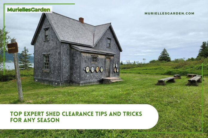 expert-shed-clearance-tips-1.